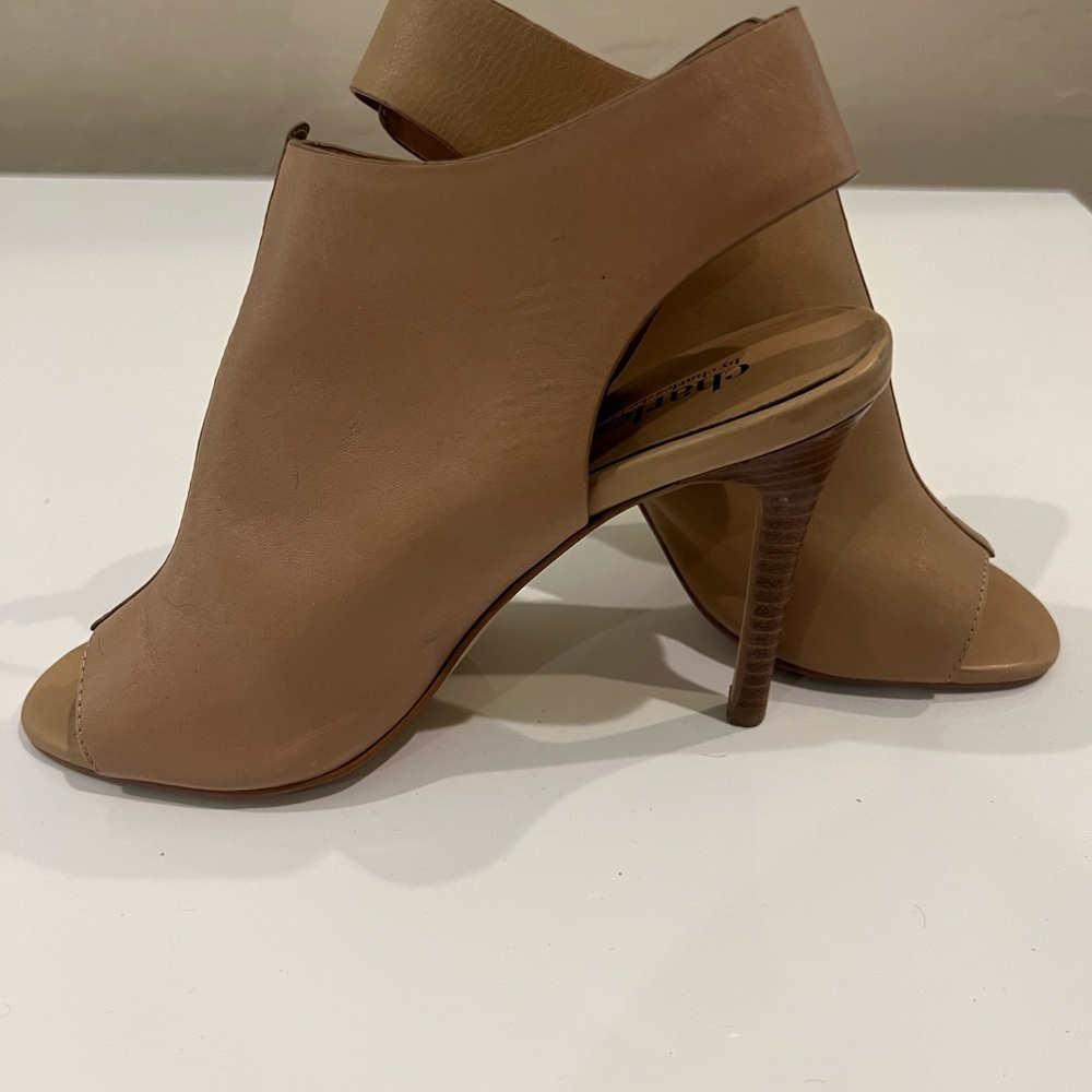 Charles Tan Heels
